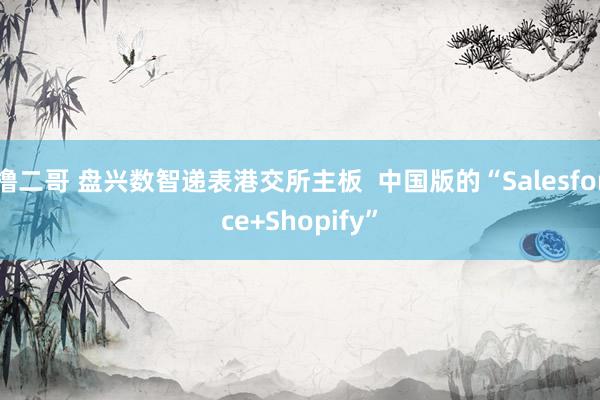 撸二哥 盘兴数智递表港交所主板  中国版的“Salesforce+Shopify”
