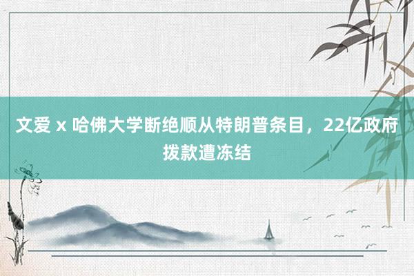 文爱 x 哈佛大学断绝顺从特朗普条目，22亿政府拨款遭冻结