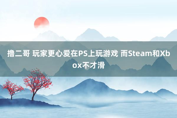 撸二哥 玩家更心爱在PS上玩游戏 而Steam和Xbox不才滑