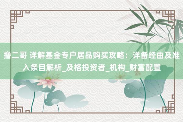 撸二哥 详解基金专户居品购买攻略：详备经由及准入条目解析_及格投资者_机构_财富配置