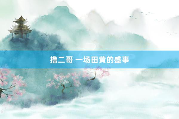 撸二哥 一场田黄的盛事