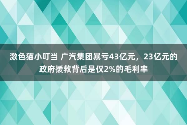 激色猫小叮当 广汽集团暴亏43亿元，23亿元的政府援救背后是仅2%的毛利率