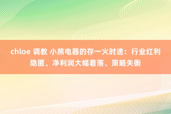 chloe 调教 小熊电器的存一火时速：行业红利隐匿、净利润大幅着落、策略失衡