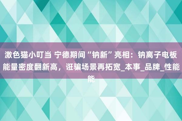 激色猫小叮当 宁德期间“钠新”亮相：钠离子电板能量密度翻新高，诳骗场景再拓宽_本事_品牌_性能