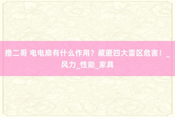 撸二哥 电电扇有什么作用？藏匿四大雷区危害！_风力_性能_家具