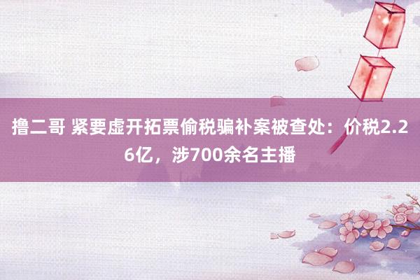 撸二哥 紧要虚开拓票偷税骗补案被查处：价税2.26亿，涉700余名主播