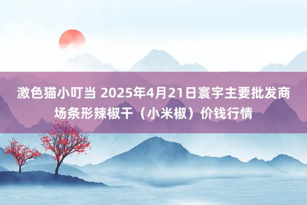 激色猫小叮当 2025年4月21日寰宇主要批发商场条形辣椒干（小米椒）价钱行情
