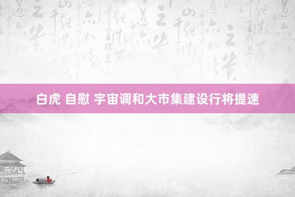 白虎 自慰 宇宙调和大市集建设行将提速
