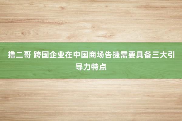 撸二哥 跨国企业在中国商场告捷需要具备三大引导力特点
