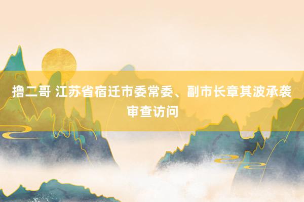 撸二哥 江苏省宿迁市委常委、副市长章其波承袭审查访问