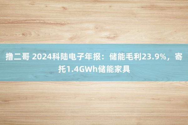 撸二哥 2024科陆电子年报：储能毛利23.9%，寄托1.4GWh储能家具