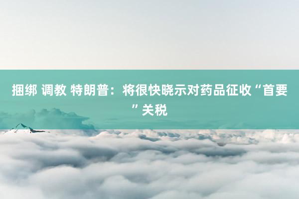 捆绑 调教 特朗普：将很快晓示对药品征收“首要”关税