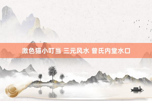 激色猫小叮当 三元风水 曾氏内堂水口