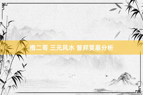 撸二哥 三元风水 曾邦旻墓分析