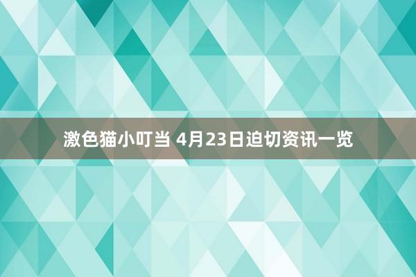 激色猫小叮当 4月23日迫切资讯一览