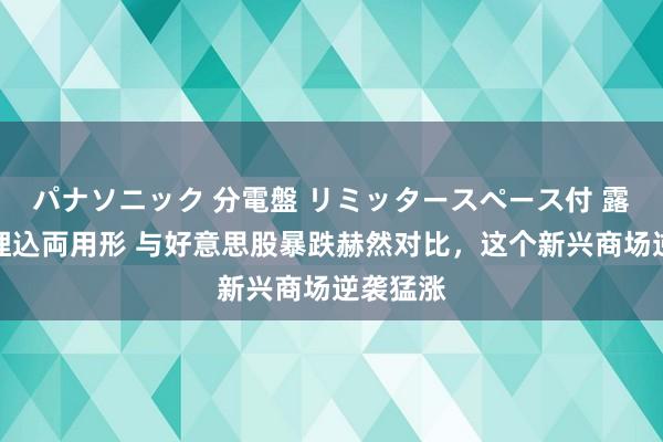 パナソニック 分電盤 リミッタースペース付 露出・半埋込両用形 与好意思股暴跌赫然对比，这个新兴商场逆袭猛涨