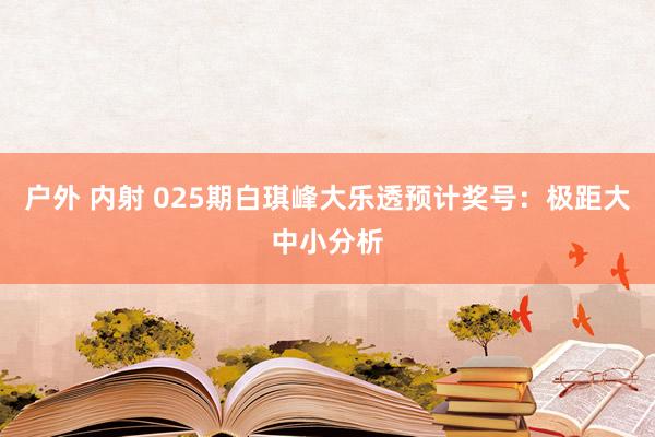 户外 内射 025期白琪峰大乐透预计奖号：极距大中小分析