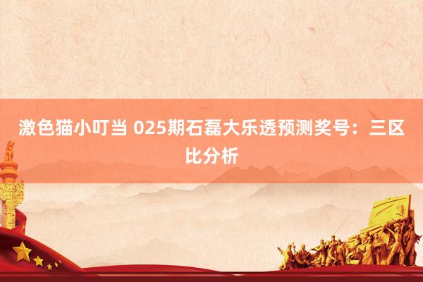 激色猫小叮当 025期石磊大乐透预测奖号：三区比分析