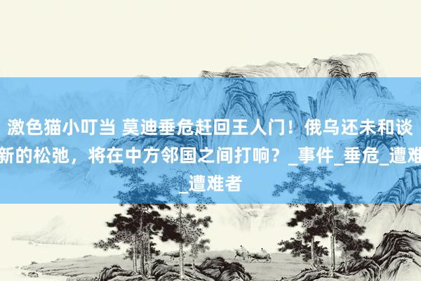 激色猫小叮当 莫迪垂危赶回王人门！俄乌还未和谈，新的松弛，将在中方邻国之间打响？_事件_垂危_遭难者