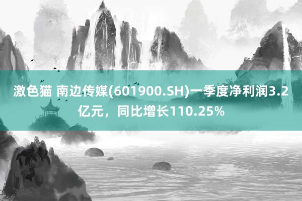 激色猫 南边传媒(601900.SH)一季度净利润3.2亿元，同比增长110.25%